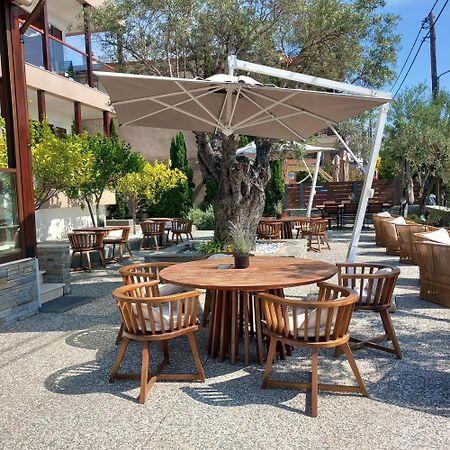Ayia Marina Suites Ουρανούπολη Εξωτερικό φωτογραφία